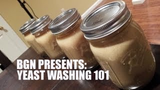 Yeast Harvesting and Washing 101  Beer Geek Nation Homebrew Videos [upl. by Ellinet900]