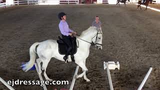 Cavaletti Training with bent and straight lines with Erika Jansson [upl. by Jocelyn594]