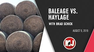 Baleage vs Haylage  August 9 2019 [upl. by Yardley970]