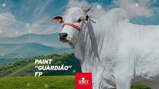 Paint Guardião FP [upl. by Yltsew]