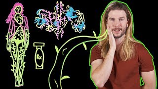 What Toxin Is on Poison Ivys Lips  Because Science w Kyle Hill [upl. by Allerym]