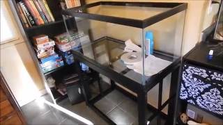 40 gallon breeder fish tank project part 1 [upl. by Faucher345]