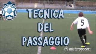 Allenamento Piccoli Amici  04  Tecnica del passaggio [upl. by Eiwoh]