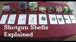 Shotgun Shells Explained [upl. by Venterea171]