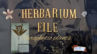 Herbarium file  Botany  Plants herbarium [upl. by Gianni]