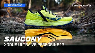 Anmeldelse Saucony Xodus Ultra vs Saucony Peregrine 12  Saucony BAMM 2022 [upl. by Oiliruam]