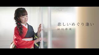 田川寿美  悲しいめぐり逢い [upl. by Otilia]