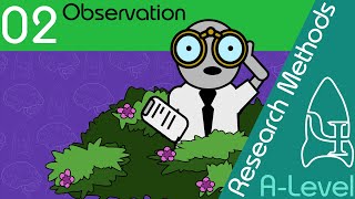 Observation  Research Methods  A Level Psychology [upl. by Angele827]