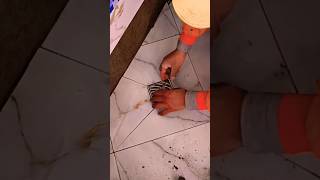 Professional installation of ceramics with a sewer drain step by step [upl. by Marden547]