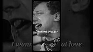 Foreigner  I want to know what love is LIVE  Acapella  acapella vocalsonly lyrics music [upl. by Cia253]