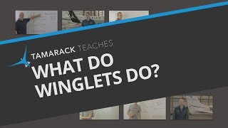 Winglets  What Do They Do [upl. by Nuahc]