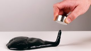 Amazing science experiments with magnets [upl. by Wolgast]