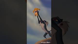 The Lion King Medley excerpt  the Circle of Life shorts [upl. by Aicile]