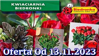 Biedronka  Kwiaciarnia Biedronki Nowa Oferta Od 13112023  Kwiatowe Inspiracje Biedronki [upl. by Nobile]