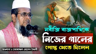 নবীজির সাথে পাখির চমৎকার একটি ঘটনা। তোফাজ্জল হোসেন ভৈরবী  TofazzalHossain  Bangla Waz [upl. by Stoat]