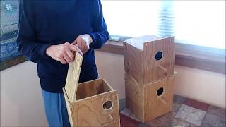 Nest Box Installation for Bourke Parakeets Works for Others Too [upl. by Aruasor]