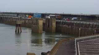 Folkestone Harbour amp Seafront Development Co Live Stream [upl. by Yseulte551]