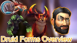 How to Obtain ALL Druid Forms  World of Warcraft Class Guides [upl. by Foster]