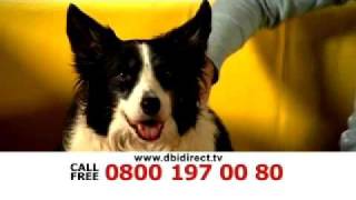 DBI DIRECT  Pet Insurance DRTV Ad [upl. by Ennairb]