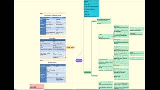 Neoplasia LEC 2 شرح بالعربي [upl. by Fanchet]