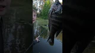 Kinley’s Big Ole Bluegill CrawfordQuestts3hj subscribe fishing adventure youtubeshorts [upl. by Spiros]