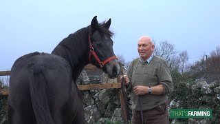 Connemara Pony Breeder  Jimmy Canavan [upl. by Anisamot]