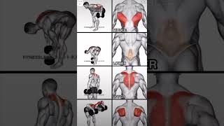 back workout trending video motivation art viralshorts fitness [upl. by Llehsem]