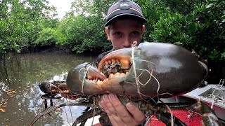 Catching MONSTER Wet Season MUD CRABS Central Queensland [upl. by Freddie13]