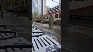 2024 First Snow fall Calgary Alberta Canada shorts [upl. by Ainod]