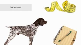 Measuring Instruction by Custom Dog Coats [upl. by Kristin]