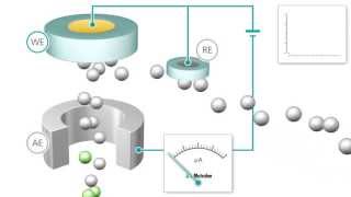 Amperometric Detection [upl. by Allrud]