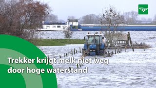 Trekker krijgt melk niet weg door hoge waterstand [upl. by Ausoj766]