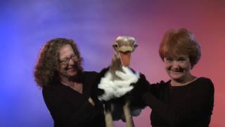 Folkmanis® Ostrich Puppet Demo  Retired [upl. by Wandy]