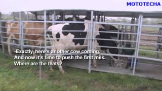 JSC MOTOTECHA  Pasture based milking systemsEnglish subtitles [upl. by Airdna]