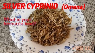 OMENA RECIPE HOW TO COOK OMENASILVER CYPRINID SIMPLEST WAY [upl. by Aynom]