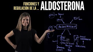 Aldosterona funciones y regulación [upl. by Portland]