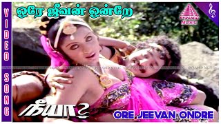 Naan Kattil Mele Video Song  Neeya Movie Songs  Kamal Haasan  Sripriya  Shankar–Ganesh [upl. by Arammat529]