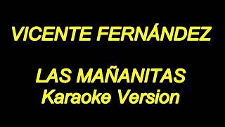 Vicente fernandez  Las Mañanitas Karaoke Lyrics NUEVO [upl. by Manard]