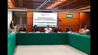 Reunión Ordinaria de la Comisión de Pueblos Indígenas y Afromexicanos [upl. by Gav]