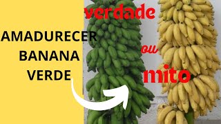 AMADURECER BANANA VERDE VERDADES OU MITO [upl. by Ynnol]