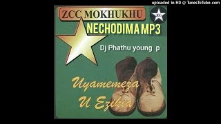 Nechodima Zcc Amapiano Remix by Dj Phathu Young P [upl. by Trabue]