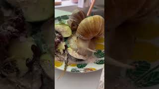 Au tour de Poire 🍐 animaux escargots escargotsgéants [upl. by Reggie197]