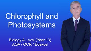 A Level Biology Revision Year 13 quotChlorophyll and Photosystemsquot [upl. by Chaddy]