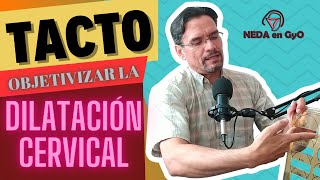 TACTO en el Embarazo DILATÓMETRO Objetivizar la DILATACIÓN CERVICAL Embarazo PARTO ¡REGALO incluido [upl. by Fogg]