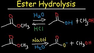 Ester Hydrolysis Reaction Mechanism  Acid Catalyzed amp Base Promoted Organic Chemistry [upl. by Lyontine]