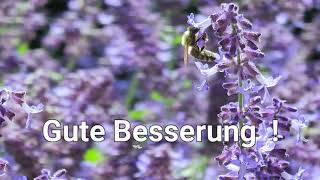 Gute Besserung [upl. by Cheng]