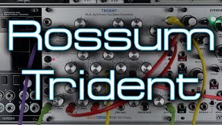 Rossum ElectroMusic Trident  Triton   Triple VCO with UNIQUE Analog Tones amp Modulation [upl. by Goddard]