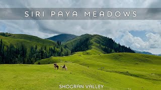 Siri Paye Meadows  Heaven of Pakistan in Shogran Valley [upl. by Allemac]