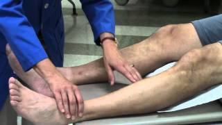 Peripheral vascular system assessment [upl. by Franciska664]