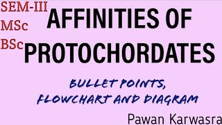 Affinities of protochordates I BSc I MSc I semesterIII zoology CHORDATES [upl. by Yartnoed]